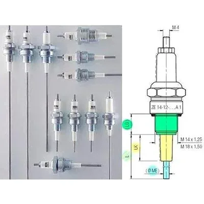 Industrial Special Ignition Electrode — Threaded Spark-Plug Type Igniter