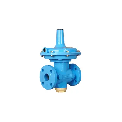 Vanaz R5112 Preset Pressure Regulator (1 to 5 Kg/cm²)