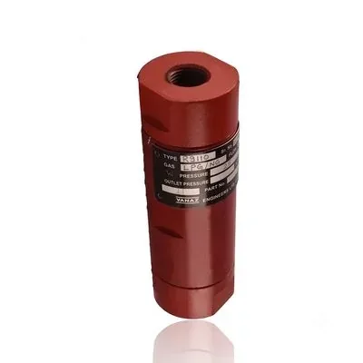 Vanaz R9110 Flame Arrestor with Non-Return Valve